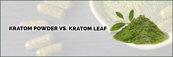 image of kratom powder vs kratom leaf page banner