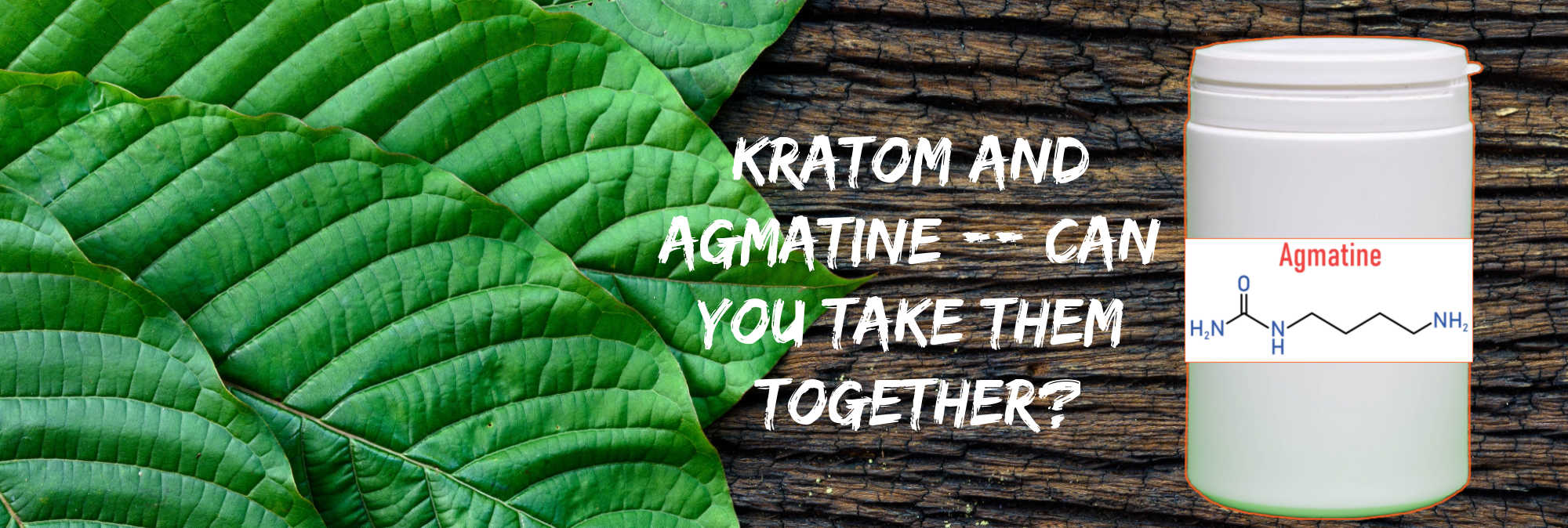 Agmatine and Kratom: Is it a Good Idea to Combine?