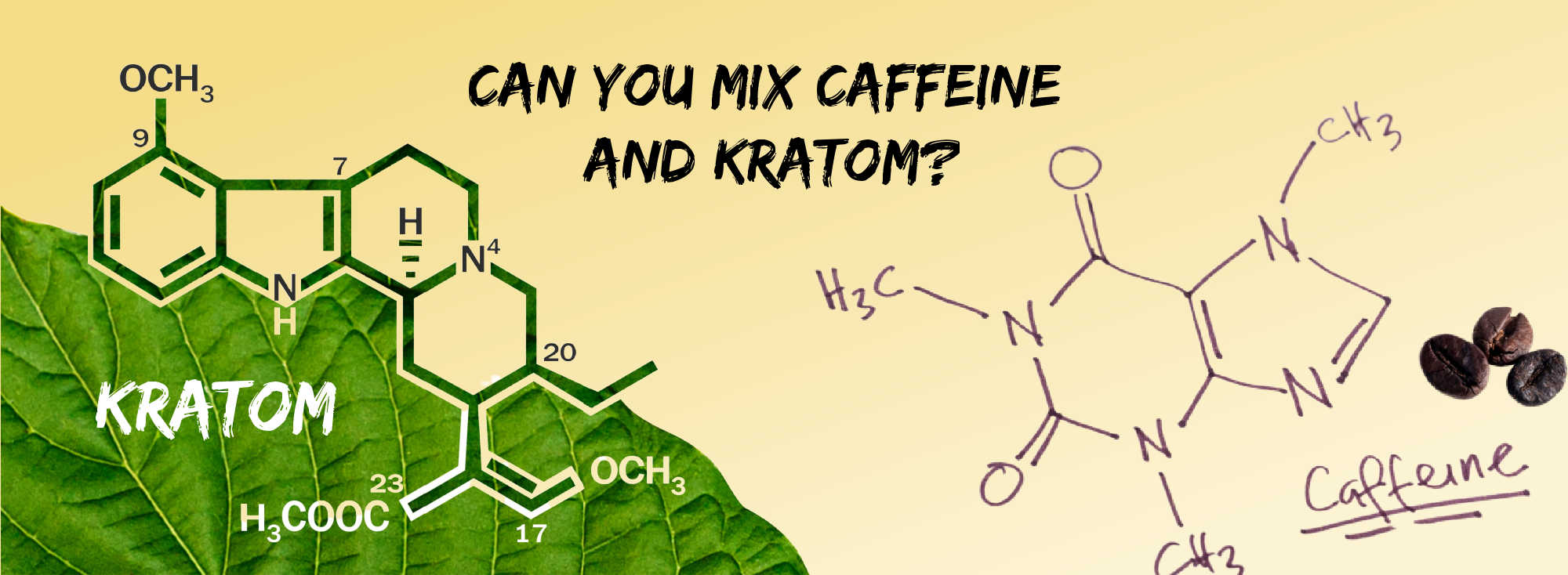 image of can you mix caffiene and kratom