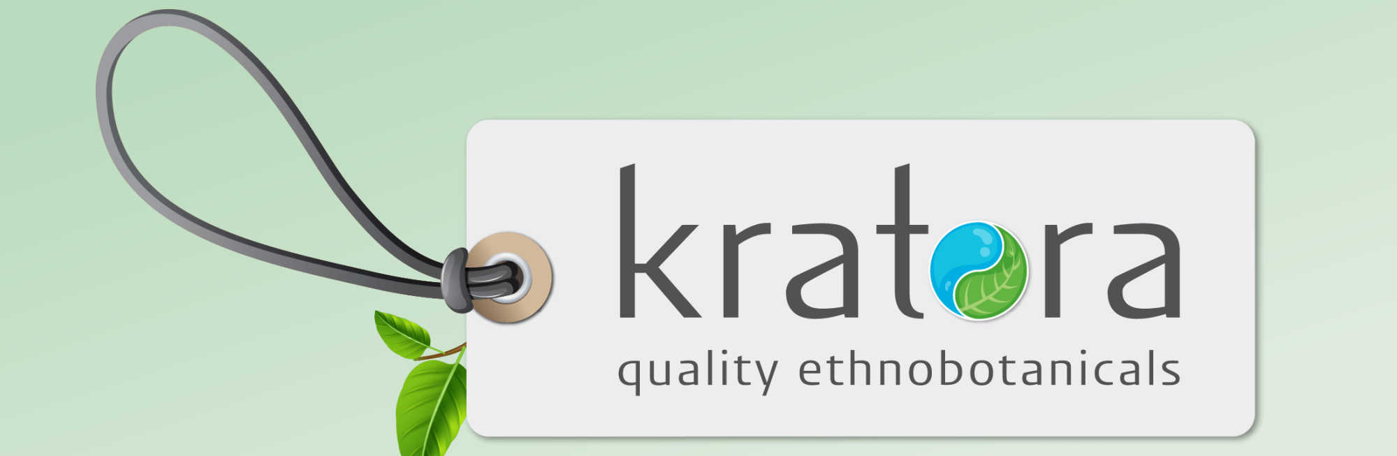 image of kratora logo