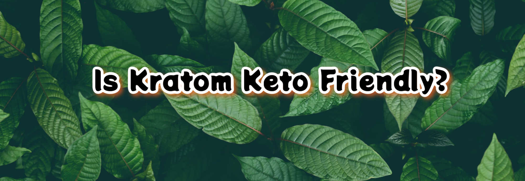 Kratom and Keto: Is Kratom Keto Friendly?