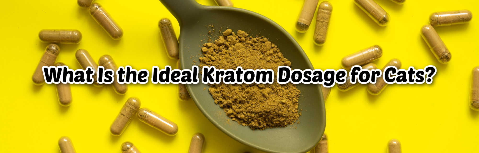 image of ideal kratom dosages for cats