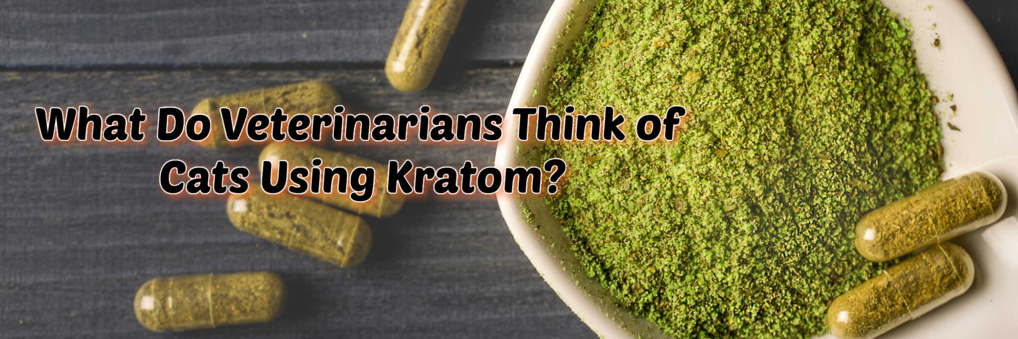 image of what do veterinarians think of cats using kratom
