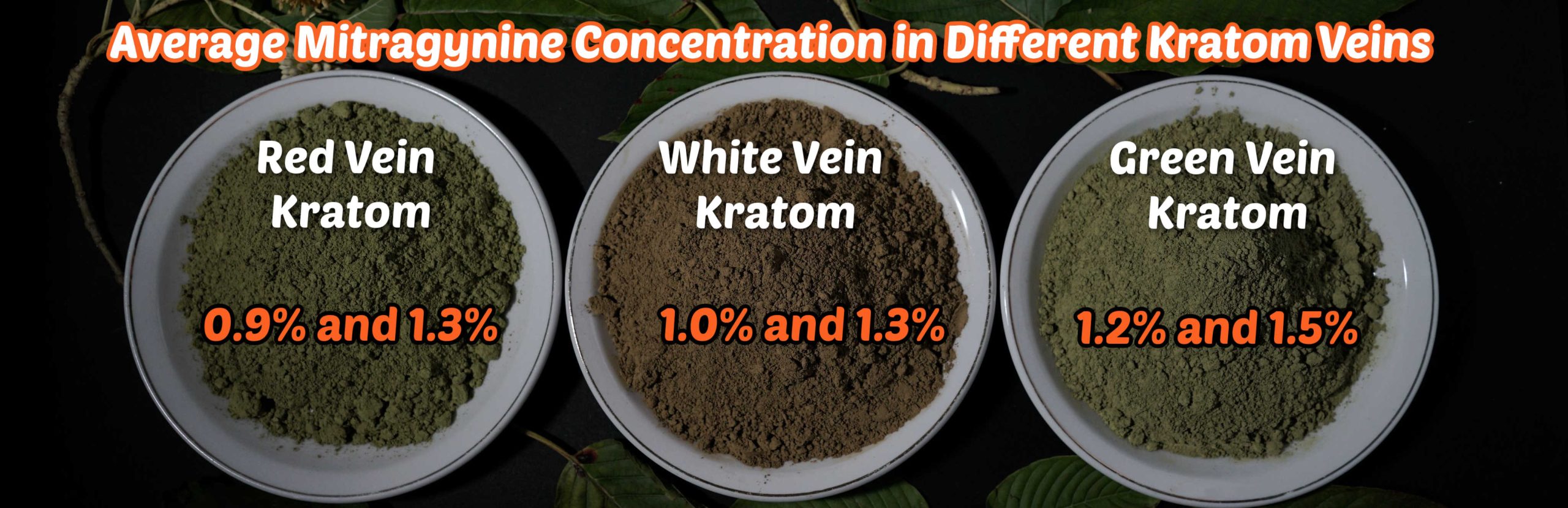 How Much Mitragynine Content Is in Kratom?