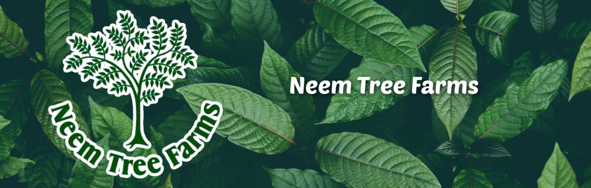 image of neem tree farms kratom plants vendor