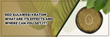 RED SULAWESI KRATOM : WHAT ARE ITS EFFECTS AND WHERE CAN YOU GET IT?