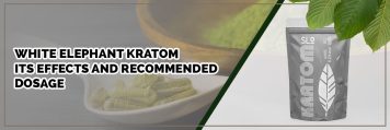 WHITE ELEPHANT KRATOM : ITS EFFECTS AND RECOMMENDED DOSAGE