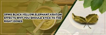 YELLOW ELEPHANT KRATOM EFFECTS : WHY YOU SHOULD STICK TO THE RIGHT DOSES