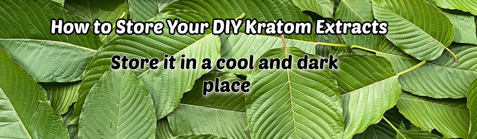 image of how to store diy kratom extracts
