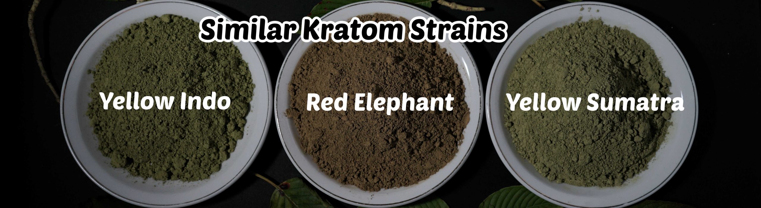 image of similar strains of elephant kratom