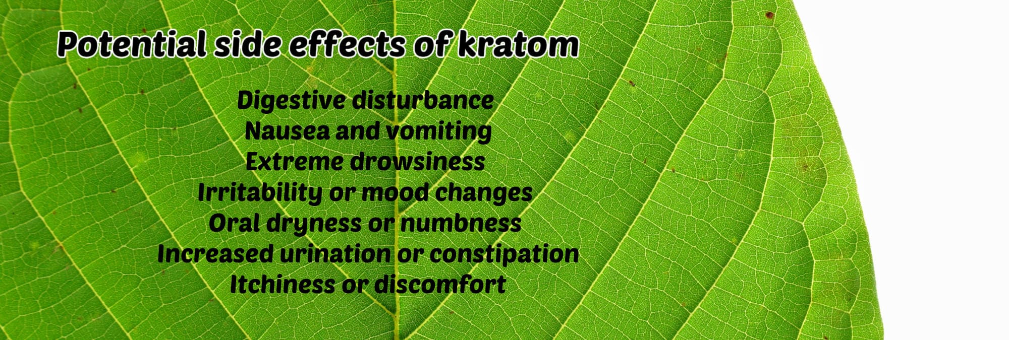 image of potential side effects of kratom