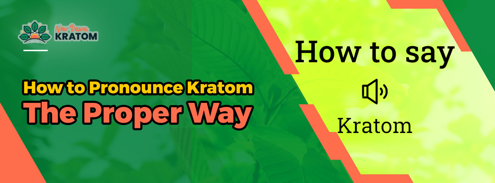 How-to-Pronounce-Kratom-The-Proper-Way