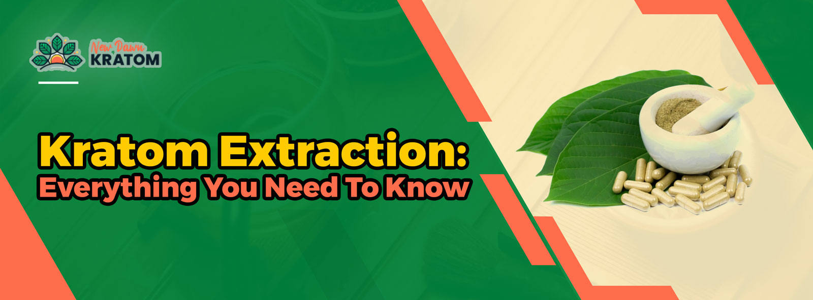 Kratom Extraction: Everything You Need To Know