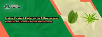 Kratom Vs. Weed: Exploring the Differences and Benefits of These Natural Substances