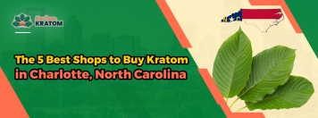 The 5 Best Shops to Buy Kratom in Charlotte, North Carolina