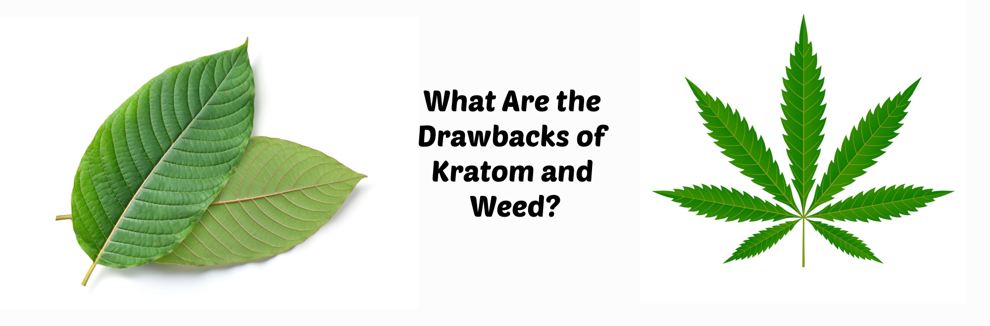image of what are the drawbacks of kratom and weed