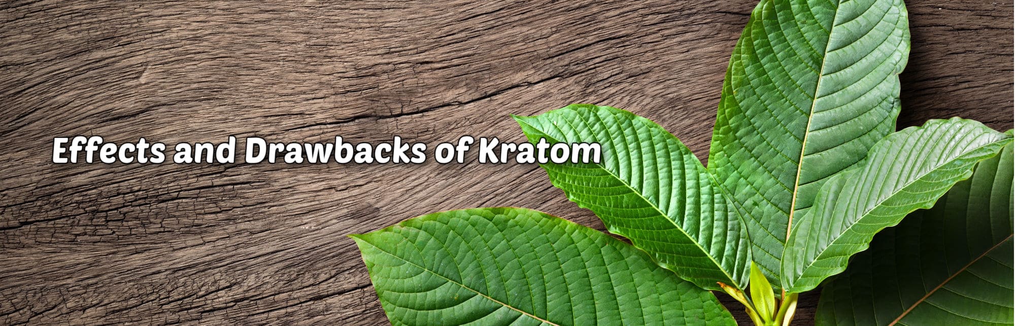 image of effects and drawbacks of kratom
