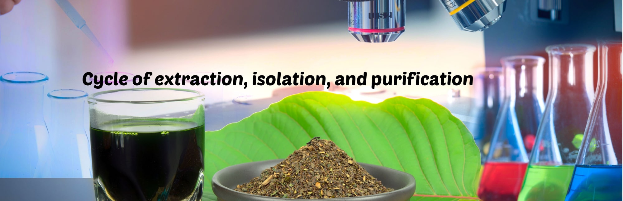 image of cycle of extraction isolation purification