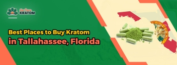Best Places To Buy Kratom in Tallahassee, Florida