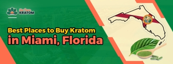 Best Places to Buy Kratom in Miami, Florida