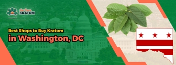 Best Shops to Buy Kratom in Washington, DC