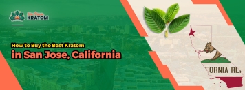How to Buy the Best Kratom in San Jose, California
