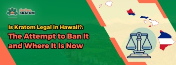 Is Kratom Legal in Hawaii?: The Attempt to Ban It and Where It Is Now
