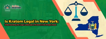 Is Kratom Legal in New York: Understanding the Legal Landscape of Kratom in the Empire State