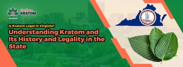 Is Kratom Legal in Virginia? Understanding Kratom and Its History and Legality in the State