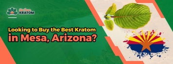Looking to Buy the Best Kratom in Mesa, Arizona?