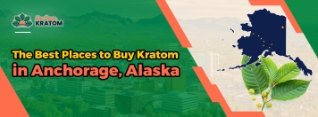 The Best Places to Buy Kratom in Anchorage, Alaska