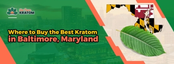 Where to Buy the Best Kratom in Baltimore, Maryland