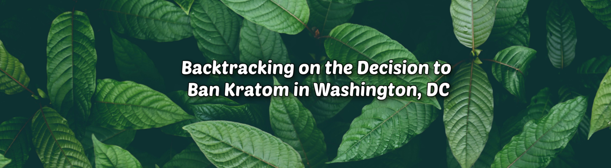 image of backtracking on the decision to ban kratom in washington dc