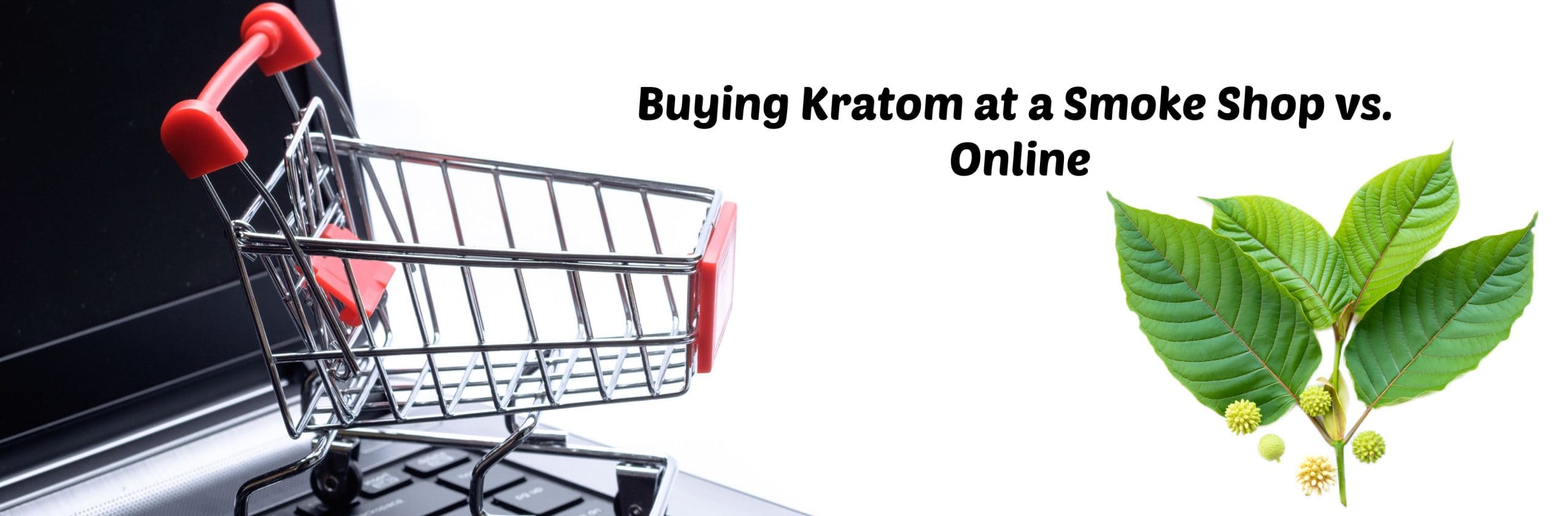 image of buying kratom at smoke shop vs online