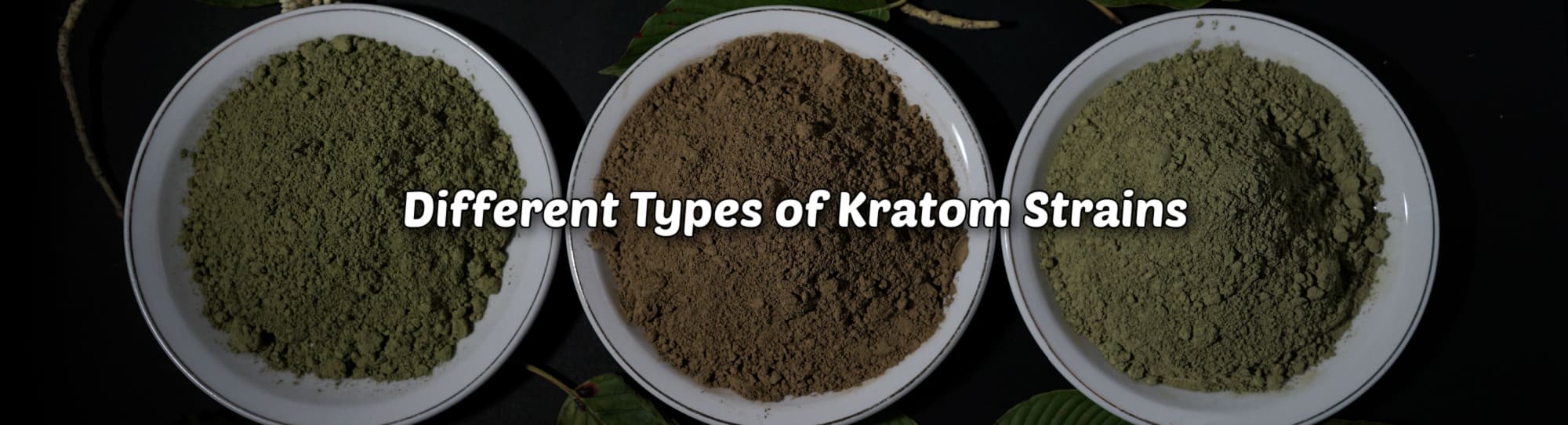 image of different types of kratom strains