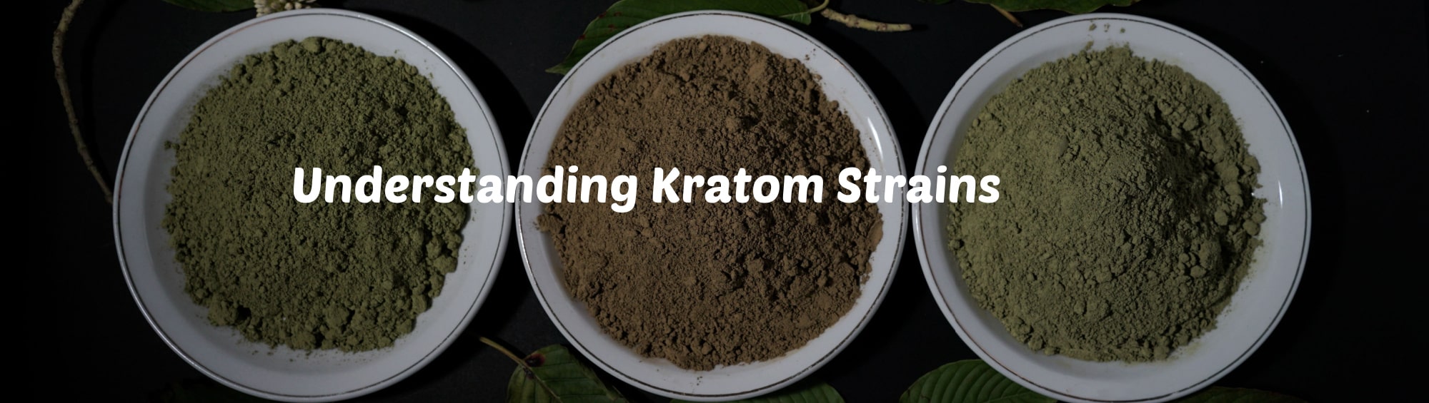 The Strongest Kratom Strain Guide: Top 3 Strains for Every Need