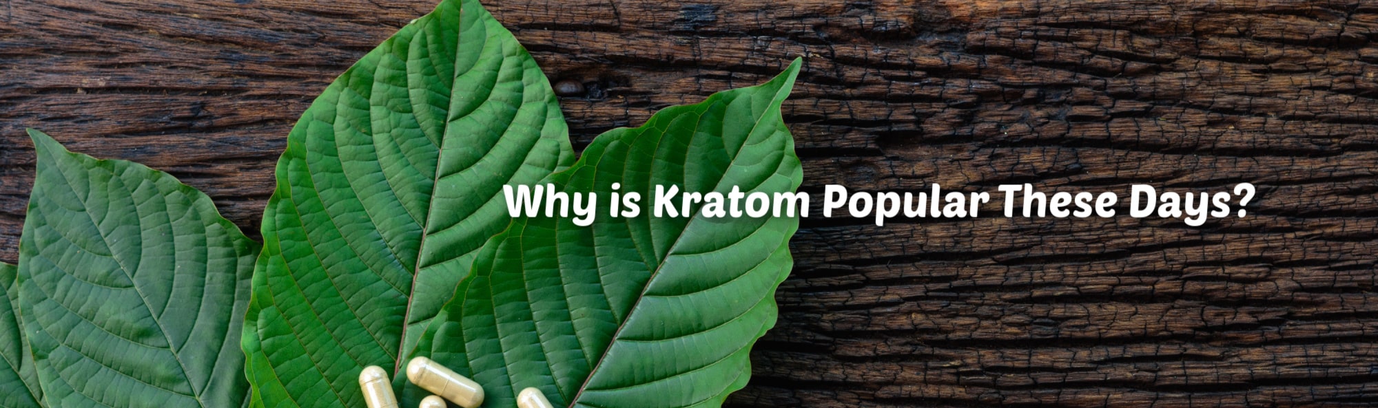 image of why is kratom popular these days