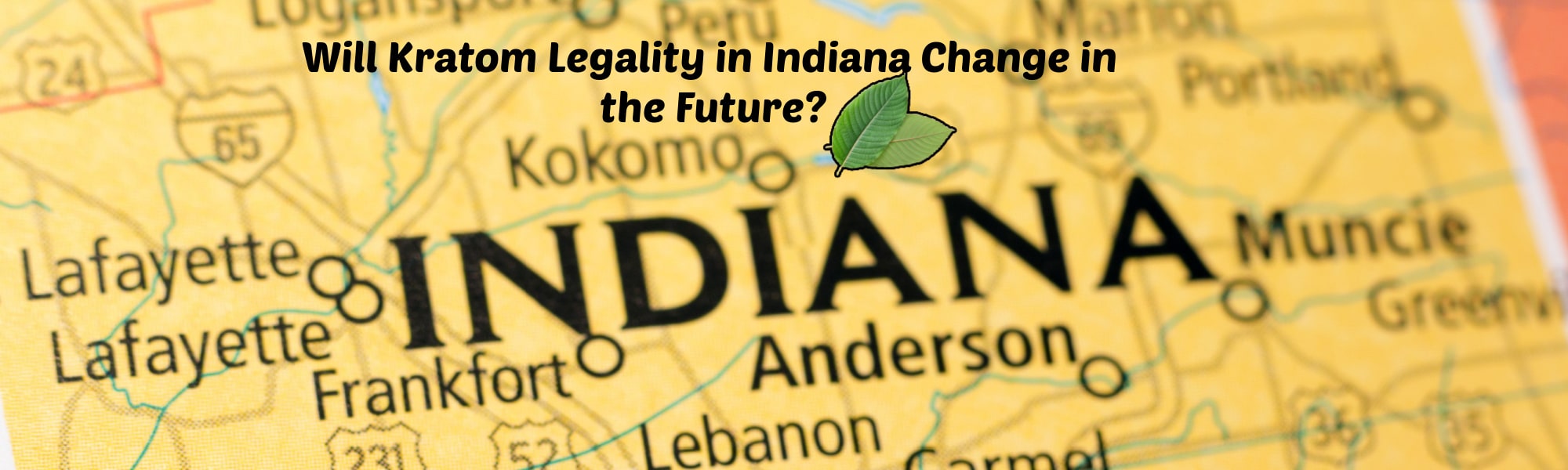 image of will kratom legality in indiana change in the future
