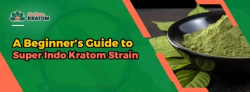 A Beginner’s Guide to Super Indo Kratom Strain