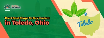 The 5 Best Shops To Buy Kratom in Toledo, Ohio