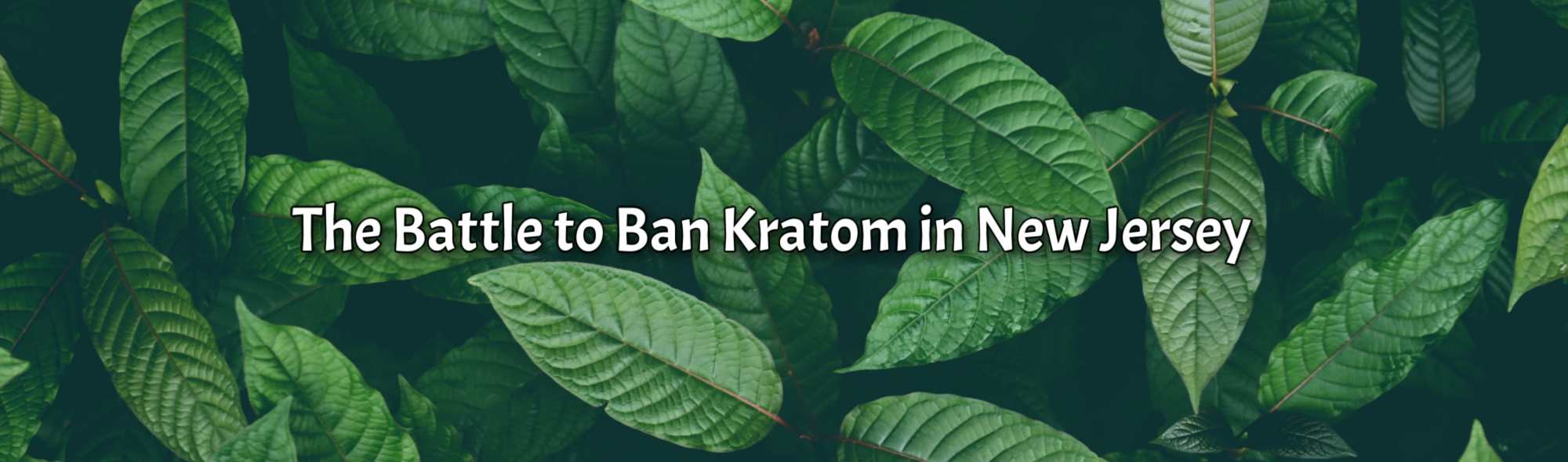 image of the battle to ban kratom in new jersey