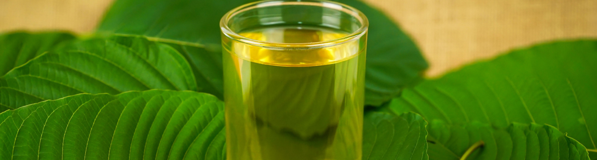 Kratom Concentrate: The Extraction Process and Choosing the Right Product