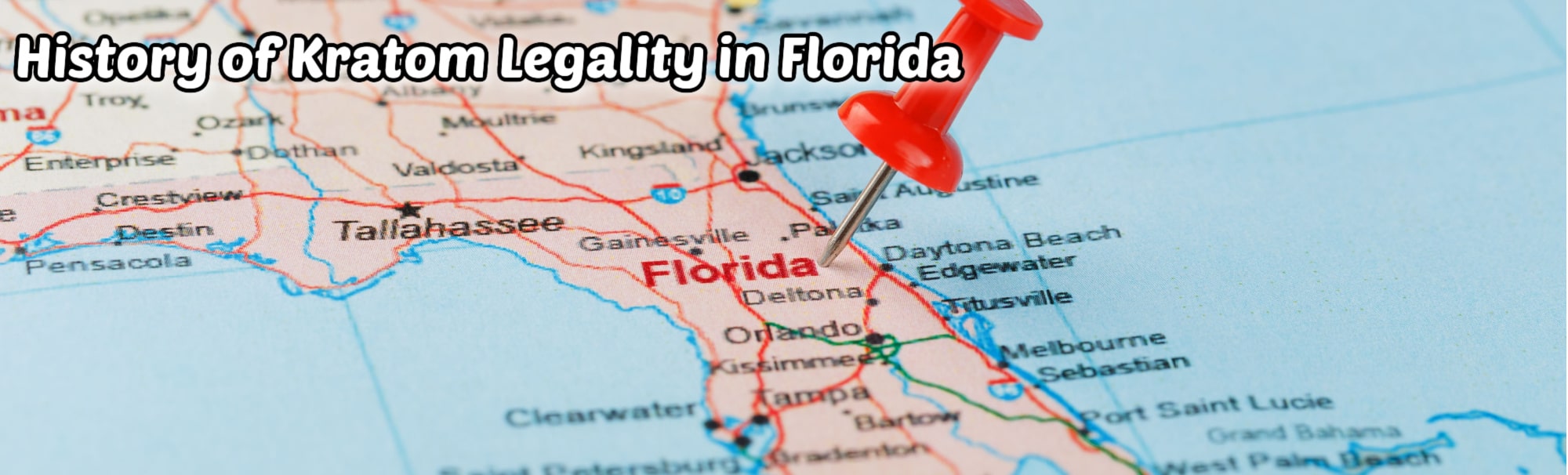 image of history of kratom legality in florida