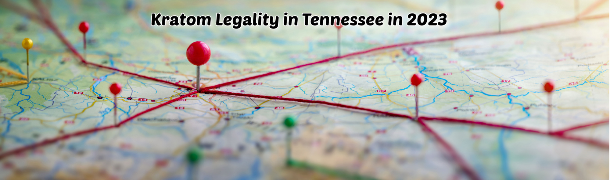 Is Kratom Legal in Tennessee? Its History and Current Status
