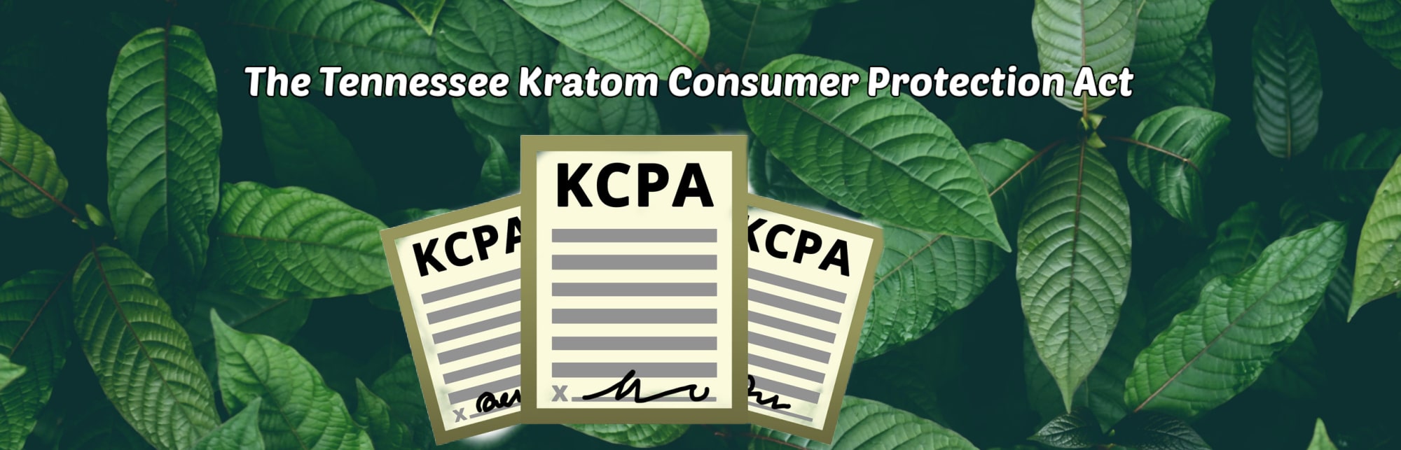 image of the tennessee kratom consumer protection act