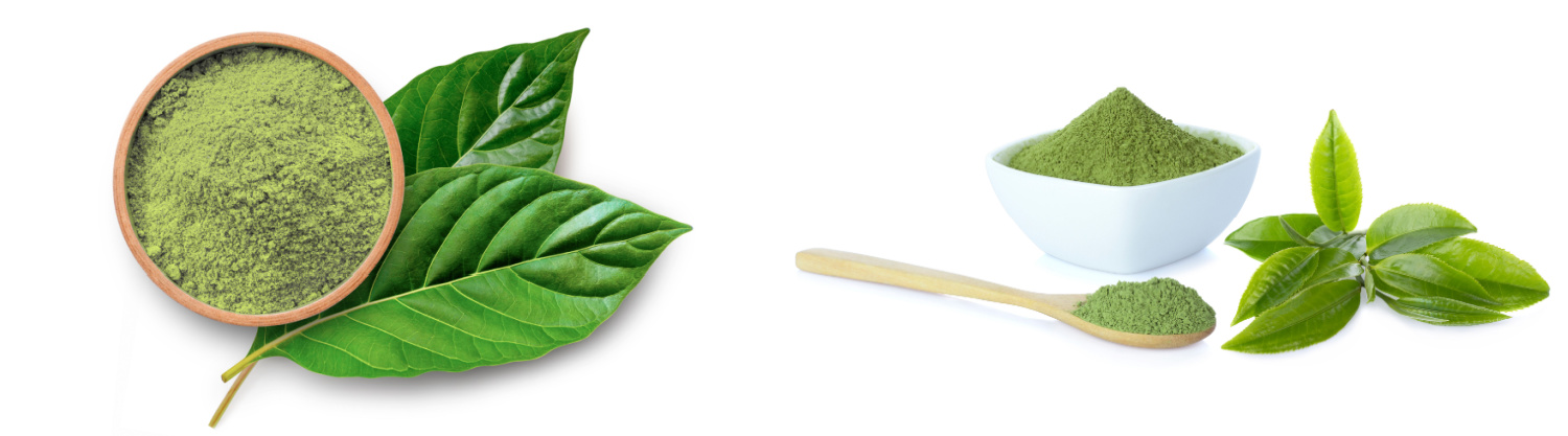 image of a comparison between kratom and matcha