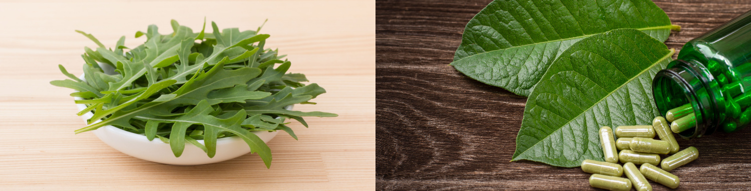 image of difference between wild lettuce and kratom