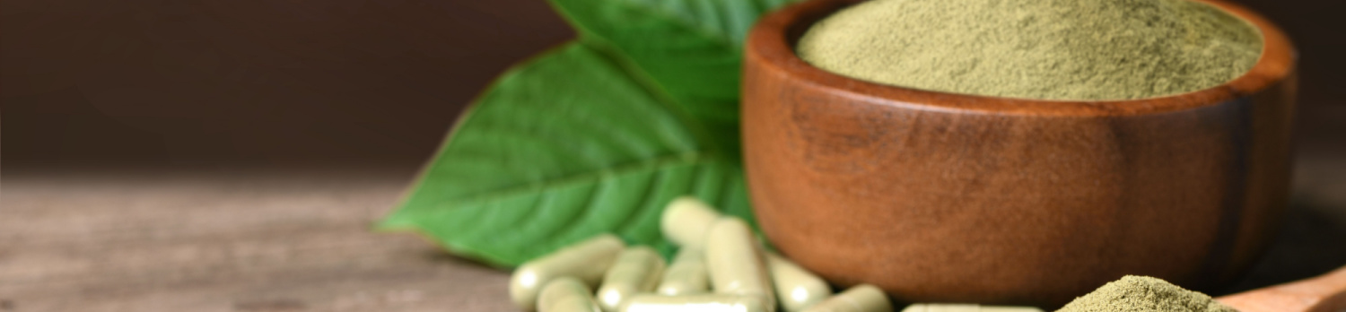 White Ketapang vs White Bentuangie Kratom: Benefits, Side-Effects and Differences Unveiled