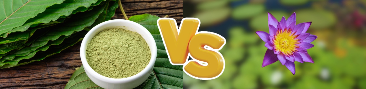 Kratom and Blue Lotus: Good for Potentiation or Avoid?