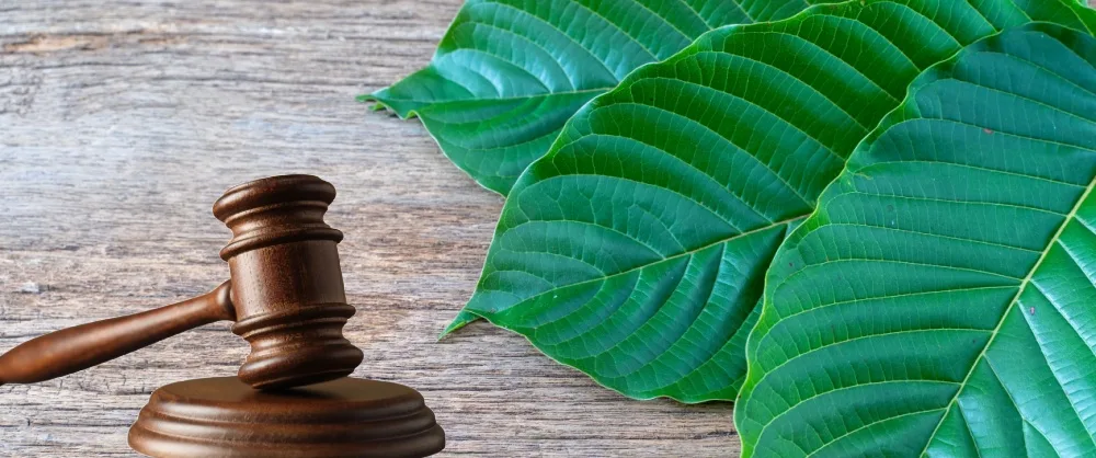 Where to Buy Kratom in Panama City Beach (FL)